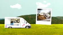 Motion Graphics 4 Bout Choux